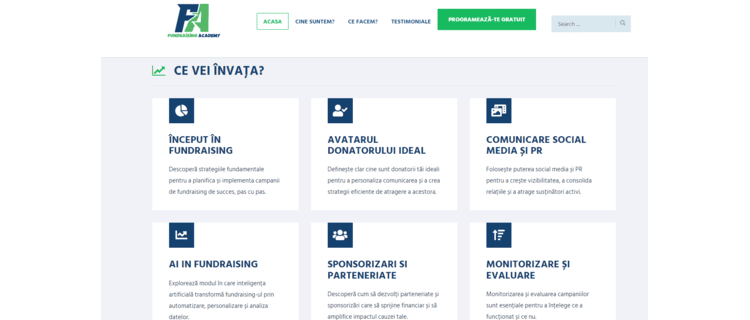 realizare website